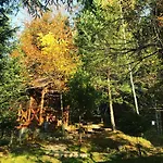 лісова комфорт Appartement *