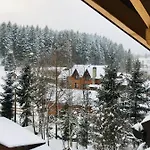 Appartement лісова комфорт Skhidnytsia