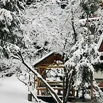 Appartement лісова комфорт