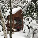 лісова комфорт Skhidnytsia