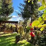 лісова комфорт * Skhidnytsia