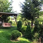 лісова комфорт