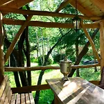 лісова комфорт *