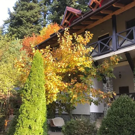 лісова комфорт *