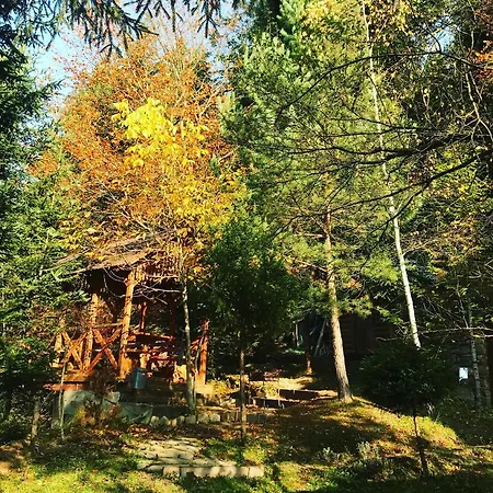 лісова комфорт Appartement *