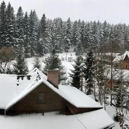 лісова комфорт * Skhidnytsia