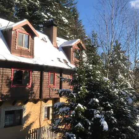 лісова комфорт