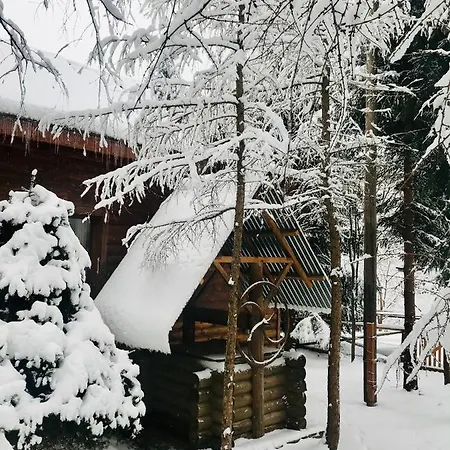 лісова комфорт *