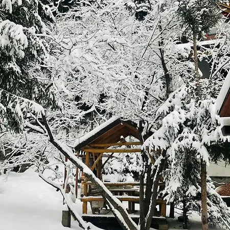 Appartement лісова комфорт