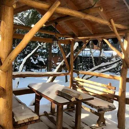 лісова комфорт * Skhidnytsia