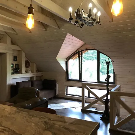 Appartement лісова комфорт Skhidnytsia