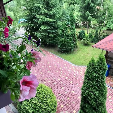 лісова комфорт Skhidnytsia