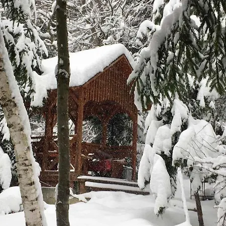 лісова комфорт Skhidnytsia