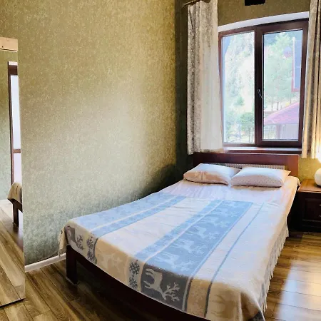 лісова комфорт *