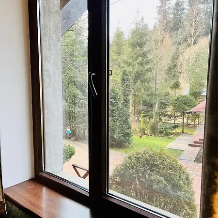 лісова комфорт *