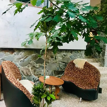 лісова комфорт