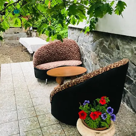 лісова комфорт *