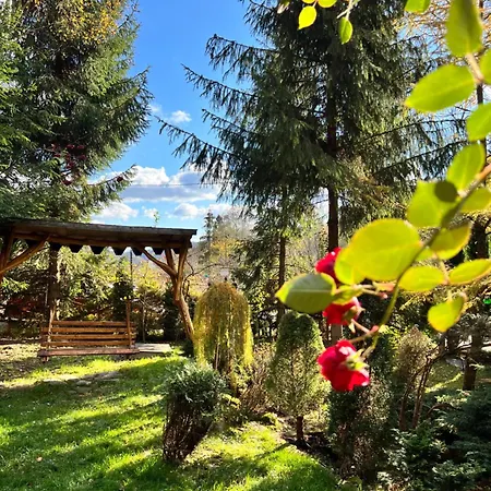 лісова комфорт * Skhidnytsia