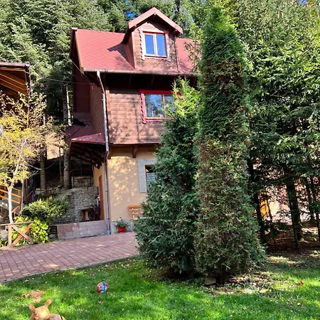 лісова комфорт Appartement Skhidnytsia