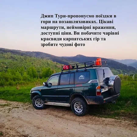 лісова комфорт *