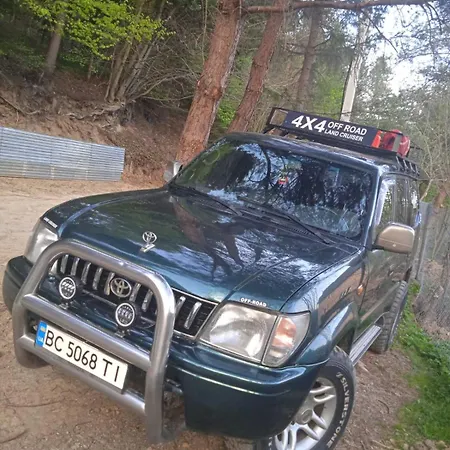 лісова комфорт