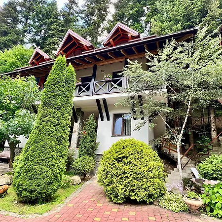 лісова комфорт Appartement *