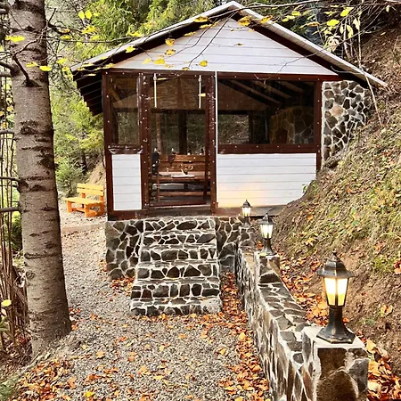 лісова комфорт Appartement