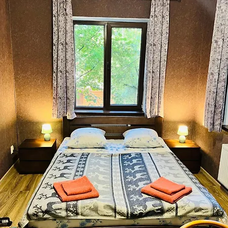 Appartement лісова комфорт Skhidnytsia