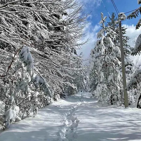 лісова комфорт Lägenhet Skhidnytsia