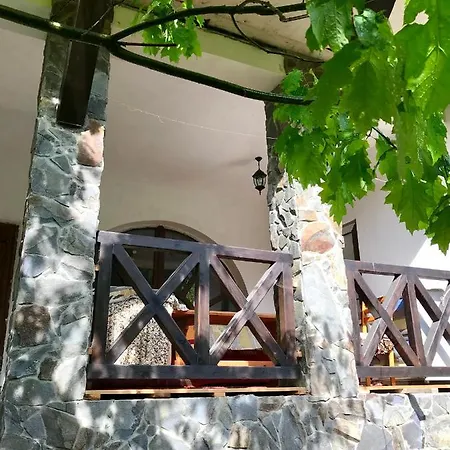 лісова комфорт * Skhidnytsia