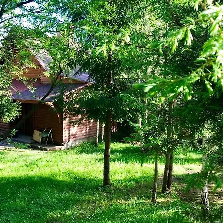 лісова комфорт Appartement *