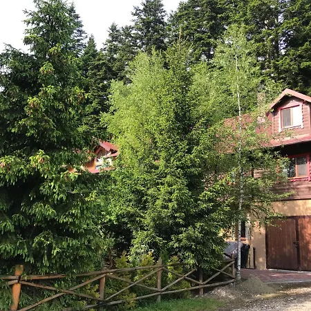 Appartement лісова комфорт