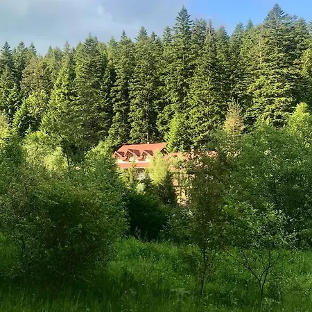 Lägenhet лісова комфорт