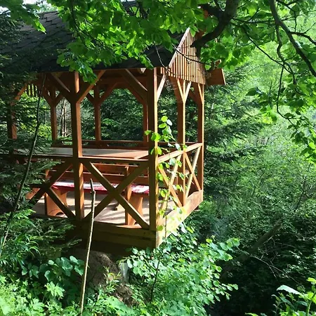 Appartement лісова комфорт *