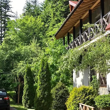 лісова комфорт