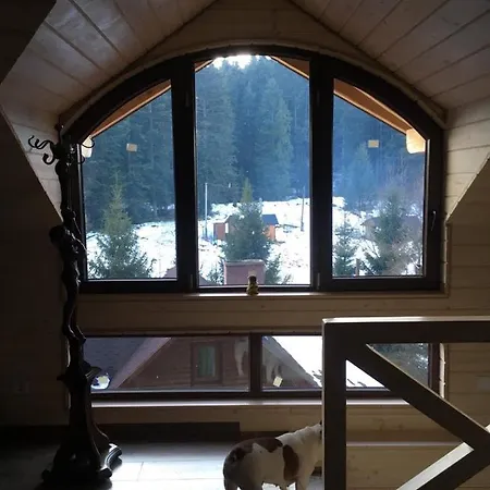 лісова комфорт * Skhidnytsia