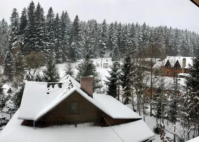 лісова комфорт * Skhidnytsia