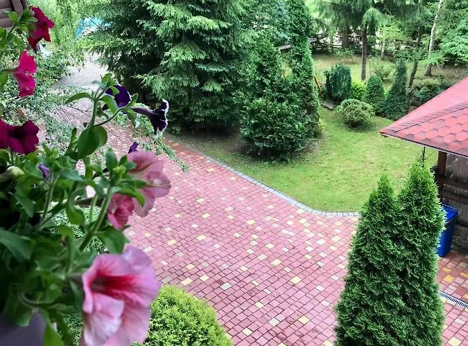 лісова комфорт Skhidnytsia