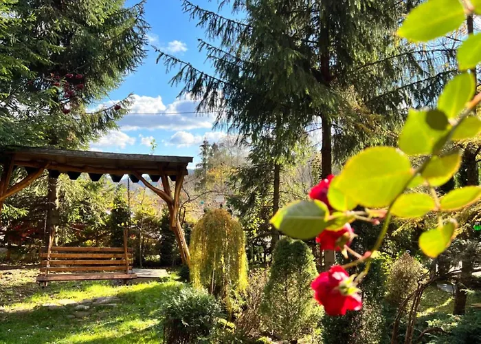 лісова комфорт * Skhidnytsia