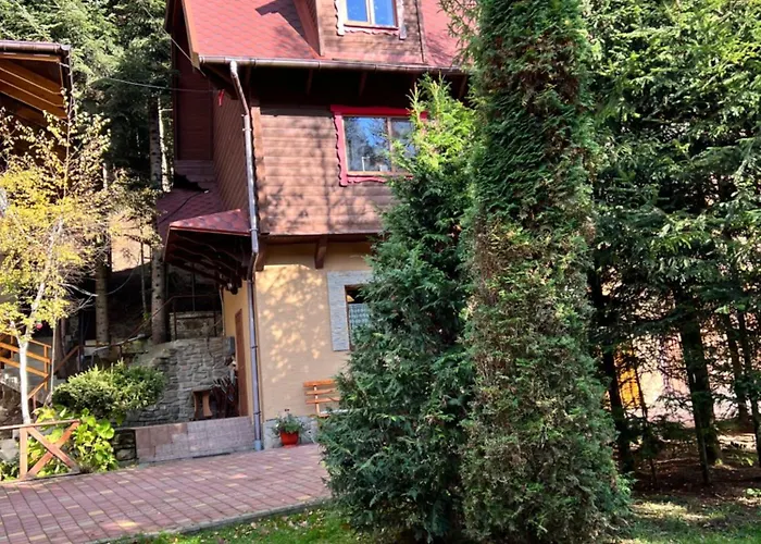 лісова комфорт 公寓 Skhidnytsia