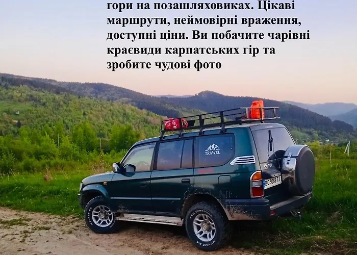 лісова комфорт *